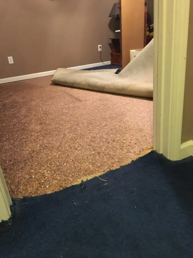 Carpet pad removal revealing water damage during Drying & Dehumidification in New Prague