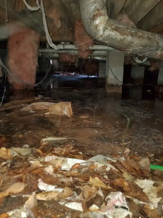 Crawl space flood assessment for Leak Detection & Repair in New Prague