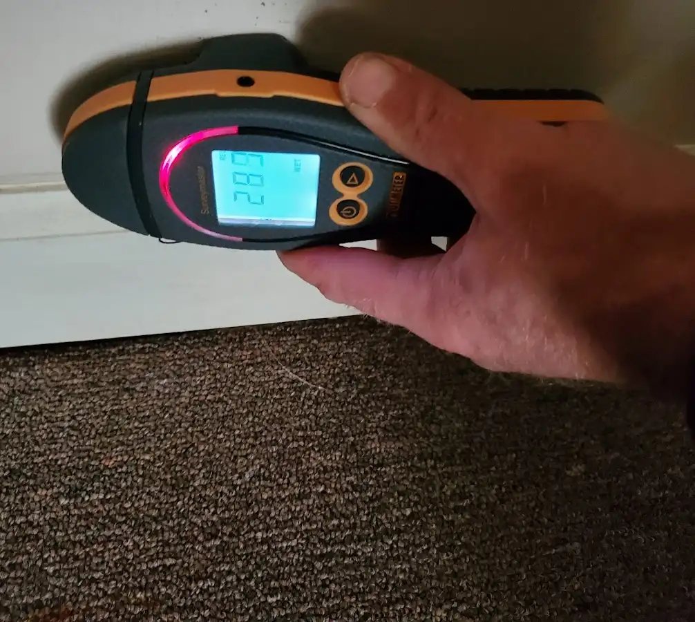 Moisture detection at baseboard during Sewage Cleanup & Sanitation in New Prague